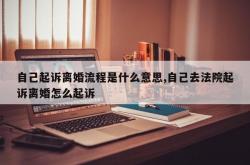 自己起诉离婚流程是什么意思,自己去法院起诉离婚怎么起诉